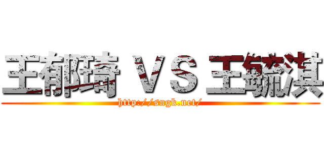 王郁琦 ＶＳ 王毓淇 (http://sngk.net/)