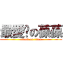 最愛妳の葆葆 (attack on titan)