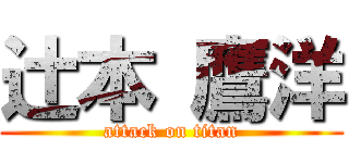 辻本 鷹洋 (attack on titan)