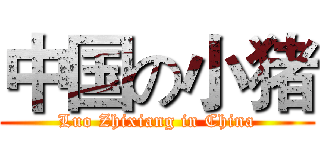 中国の小猪 (Luo Zhixiang in China)
