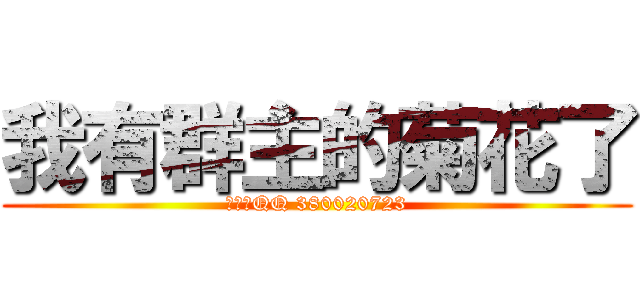 我有群主的菊花了 (群主的QQ 380020723)