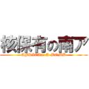 核保有の南ア (AFRICAn  A-BOMB)