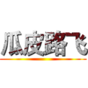 瓜皮路飞 ()