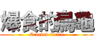 爆食的烏龜 (Cracked turtle)