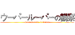 ウーパールーパーの観察 (Seven Axolotls, in Taiwan)