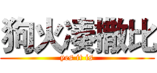 狗火凑撒比 (yes it is)