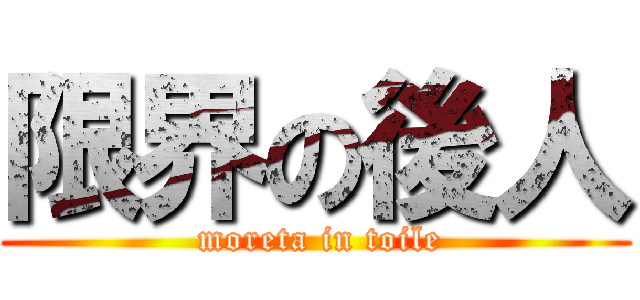 限界の後人 ( moreta in toile)