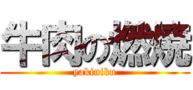 牛肉の燃焼 (yakiniku)