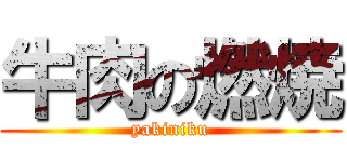 牛肉の燃焼 (yakiniku)
