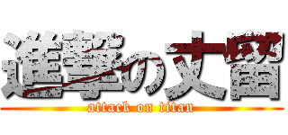 進撃の丈留 (attack on titan)