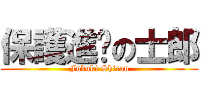 保護進擊の士郎 (Fubuki Shirou)