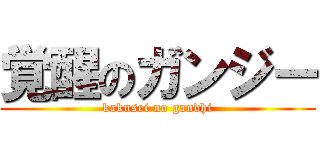覚醒のガンジー (kakusei no gandhi)