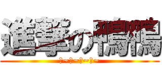 進撃の鴨鴨 (呱~呱~呱~呱~)
