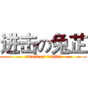 进击の兔芷 (attack on rabbit)