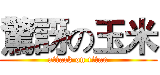 驚訝の玉米 (attack on titan)
