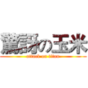 驚訝の玉米 (attack on titan)