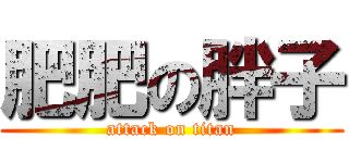 肥肥の胖子 (attack on titan)