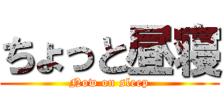 ちょっと昼寝 (Now on sleep)