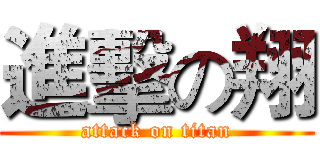 進擊の翔 (attack on titan)