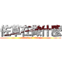 佐草在做什麼 (attack on titan)