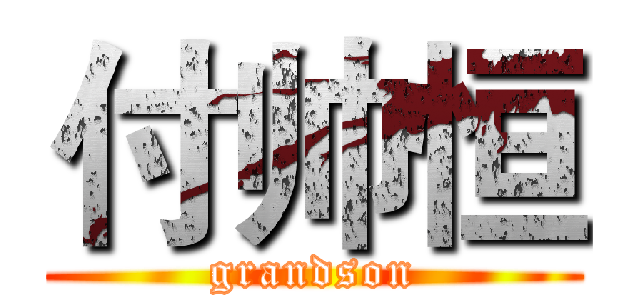 付帅恒 (grandson)