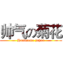 帅气の菊花 (Handsome juhua)