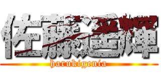 佐藤遥輝 (harukigenia)