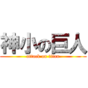 神小の巨人 (attack on titan)