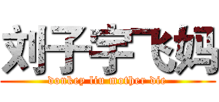 刘子宇飞妈 (donkey liu mother die)