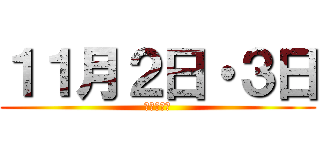 １１月２日・３日 (（土・日）)