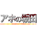 アホの坂田 (aho no sakata)