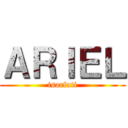 ＡＲＩＥＬ (tsarfati)