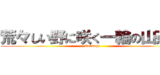 荒々しい野に咲く一輪の山茶花 (Ketsuge)