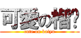 可愛の楷喻 (cute on kaiyu)