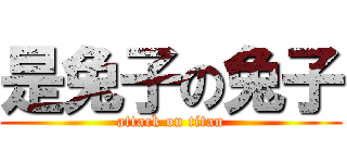 是兔子の兔子 (attack on titan)