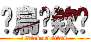 ✭鳥✰欸✭ (attack on titan)