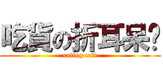 吃貨の折耳呆貓 (eating cat!)