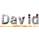 Ｄａｖｉｄ (David)