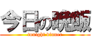今日の晩飯 (tonight dinner)