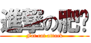 進撃の肥貓 (Fat cat attack)