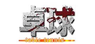 卓球 (table tennis )