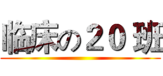 临床の２０ 班 ()