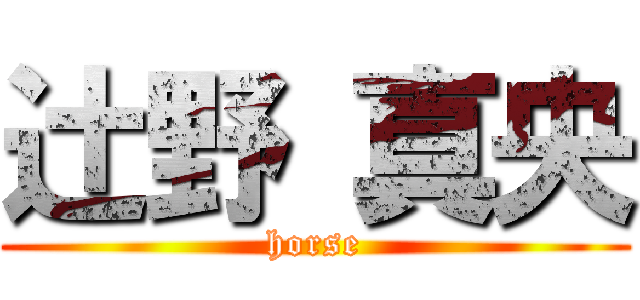 辻野 真央 (horse)