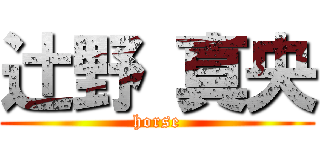 辻野 真央 (horse)