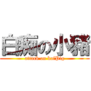 白痴の小豬 (attack on kaiPig)