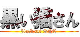 黒い猫さん (black cat SAN)