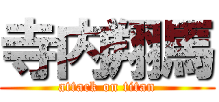 寺内翔馬 (attack on titan)