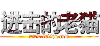 进击的老猫 (www.fuliqu.com)