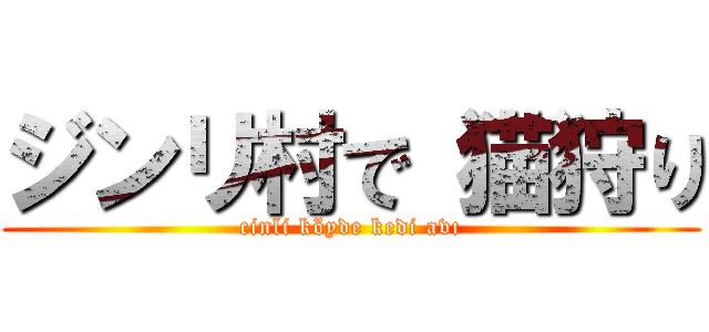 ジンリ村で 猫狩り (cinli köyde kedi avı)