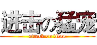 进击の猛宠 (attack on titan)